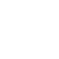 IT Consultation Icon